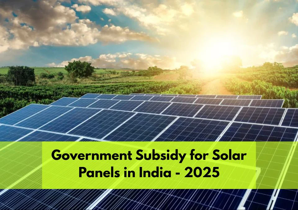 Government Subsidy Assistance